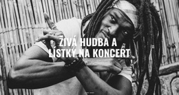 Živá Hudba – Návrh Webových Stránek