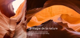 La Magie De La Nature - Maquette Web