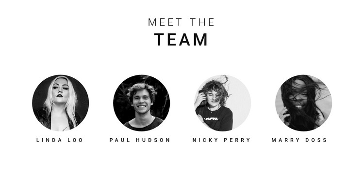 Meet the team Homepage Design