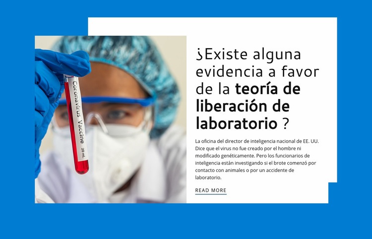 Teoría de lanzamiento de laboratorio Diseño de páginas web