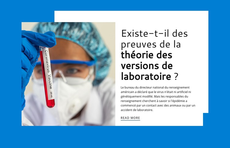 Théorie des versions de laboratoire Modèle CSS