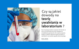 Niestandardowe Czcionki, Kolory I Grafika Dla Teoria Uwalniania Laboratoryjnego