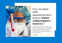 Теория Выпуска Лаборатории – Универсальный Макет Сайта