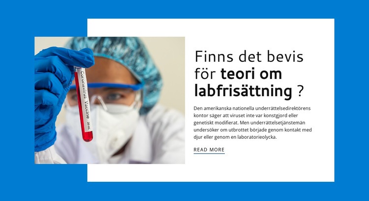 Lab Release Teori WordPress -tema