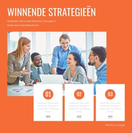 Winnende Strategieën - Aanpasbaar Professioneel WordPress-Thema