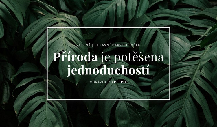 Příroda je potěšena jednoduchostí Šablona CSS