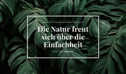 Die Natur Freut Sich Über Die Einfachheit