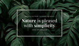 Nature Is Pleased With Simplicity