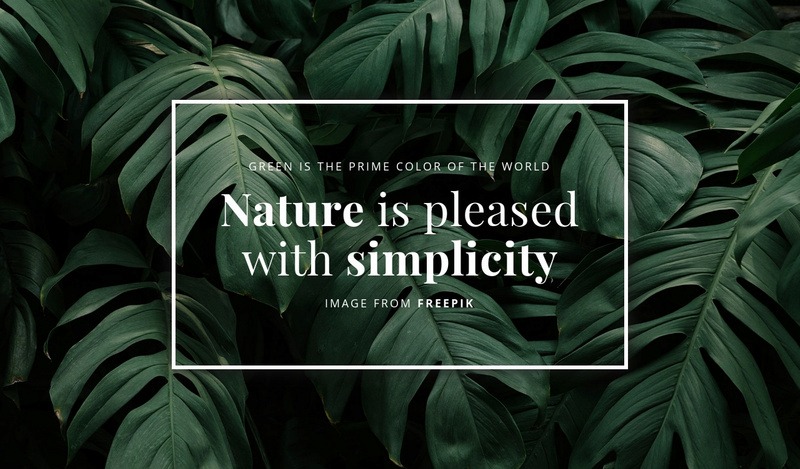 Nature is pleased with simplicity Elementor Template Alternative
