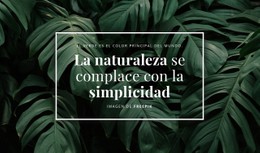 La Naturaleza Se Complace Con La Sencillez Plantilla Premium
