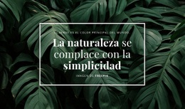 La Naturaleza Se Complace Con La Sencillez