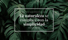 La Naturaleza Se Complace Con La Sencillez: Plantilla De Sitio Web Sencilla