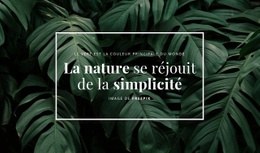 La Nature Se Plait À La Simplicité - HTML Builder