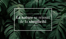 La Nature Se Plait À La Simplicité - Modèle De Page HTML