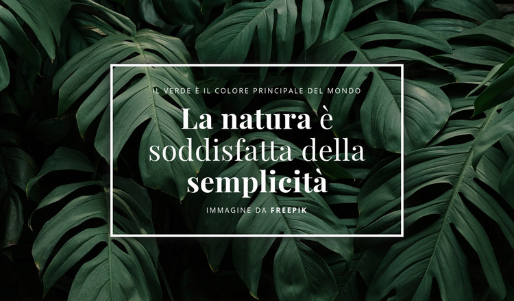 La natura è soddisfatta della semplicità Tema WordPress