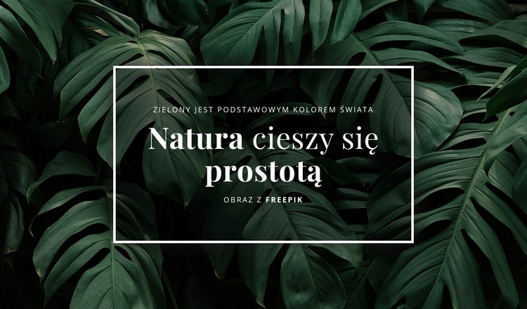 Natura jest zadowolona z prostoty Motyw WordPress