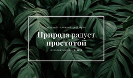 Природа Радует Простотой