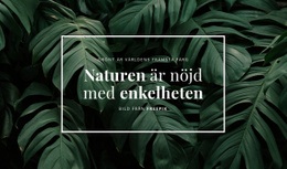 Naturen Är Nöjd Med Enkelheten