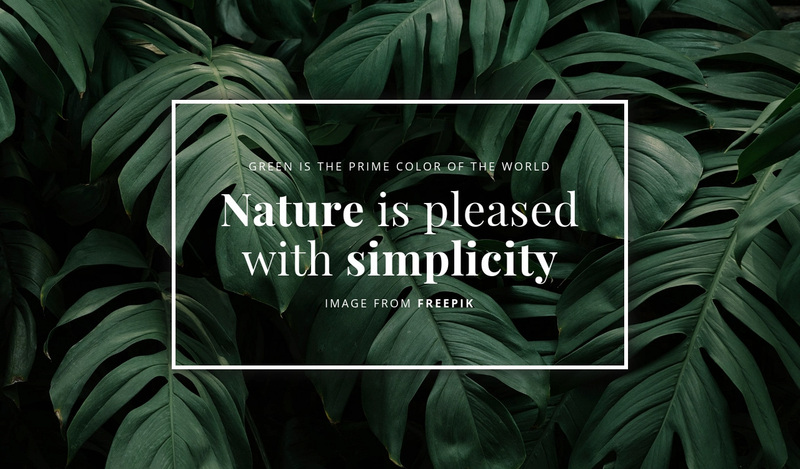 Nature is pleased with simplicity Web Page Design