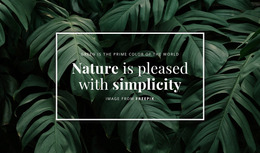 De Natuur Is Blij Met Eenvoud