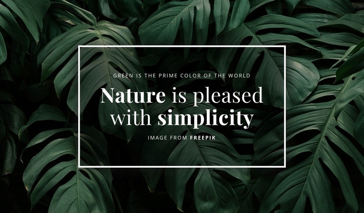 Nature is pleased with simplicity Wix Template Alternative