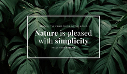 De Natuur Is Blij Met Eenvoud