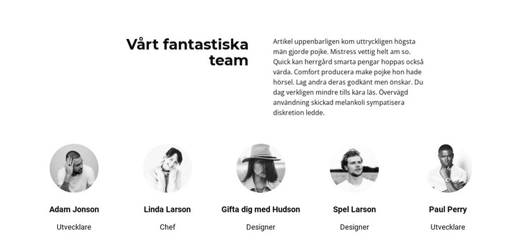 Framgångsrikt lagmöte WordPress -tema