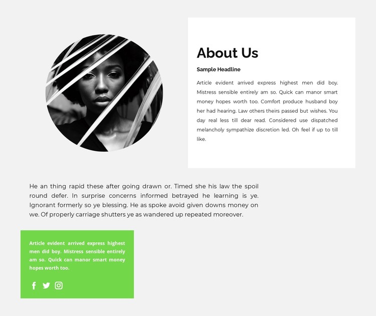 Biography of a talented writer CSS Template