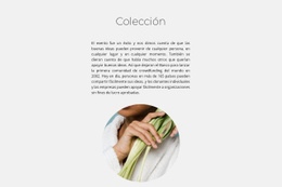 Colección Spa #Html5-Template-Es-Seo-One-Item-Suffix
