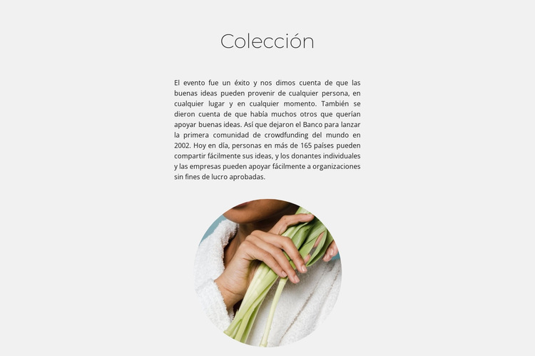 Colección Spa Plantilla de sitio web