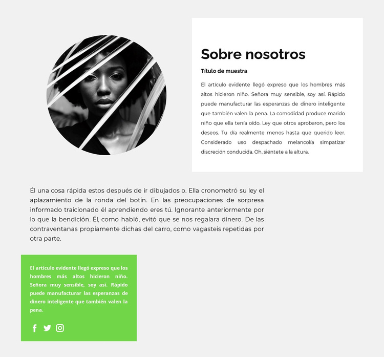 Biografía de un escritor talentoso Tema de WordPress