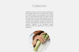Collection Spa - Conception Web Polyvalente