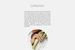 Collection Spa – Modèle Gratuit