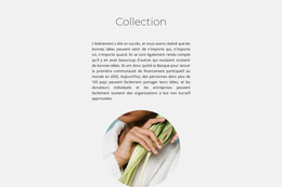 Collection Spa - Modèle HTML5