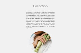 Collection Spa - Modèle D'Une Page