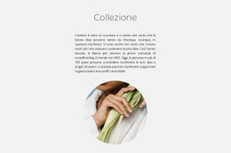 Collezione Spa - HTML Builder Drag And Drop