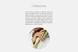 Collezione Spa #Html5-Template-It-Seo-One-Item-Suffix