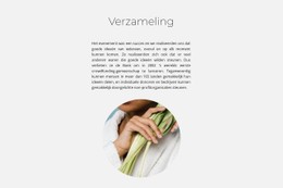 Spa-Collectie CSS-Formuliersjabloon