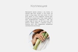 Системы Проектирования Для Коллекция Спа
