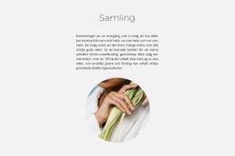 Spa Samling - Webbdesign För Flera Ändamål