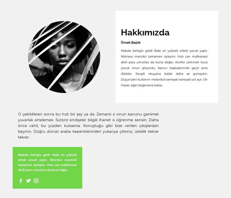 Yetenekli bir yazarın biyografisi Html Web Sitesi Oluşturucu