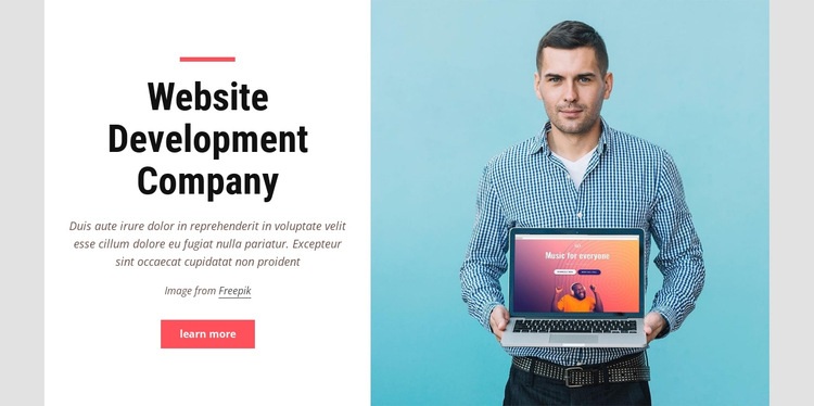 Website development company Elementor Template Alternative