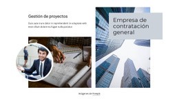 Ingeniería Líder - Tema De Una Página