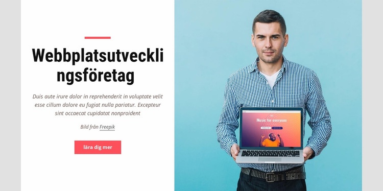 Webbplatsutvecklingsföretag Webbplats mall