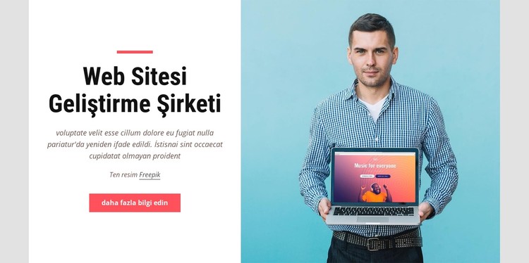 Web sitesi geliştirme şirketi CSS Şablonu