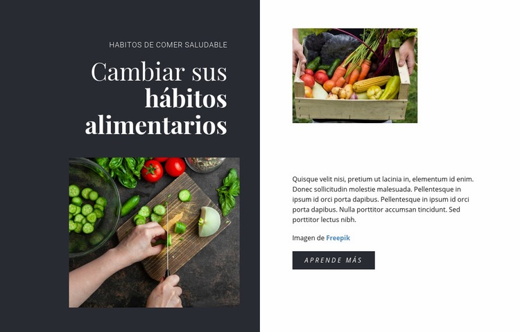 Habitos de comer saludable Diseño de páginas web