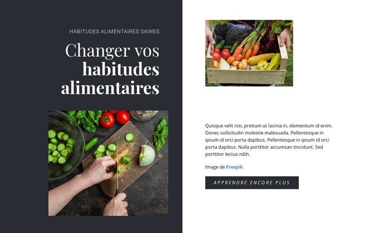 Habitudes alimentaires saines Modèles de constructeur de sites Web