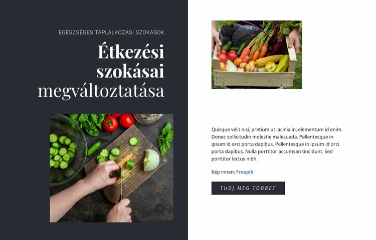 Egészséges táplálkozási szokások HTML Sablon