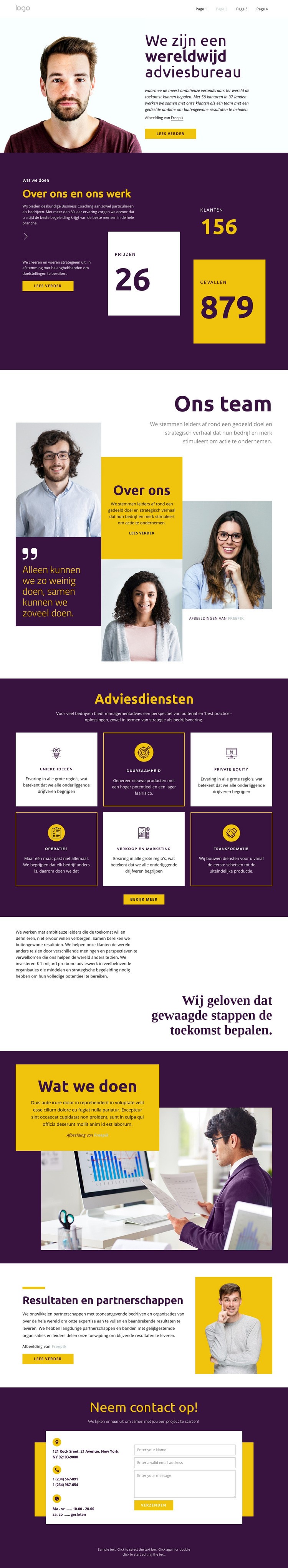 Consultants voor grote bedrijven Website mockup