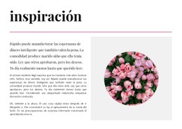 Inspiración En Colores - Create HTML Page Online